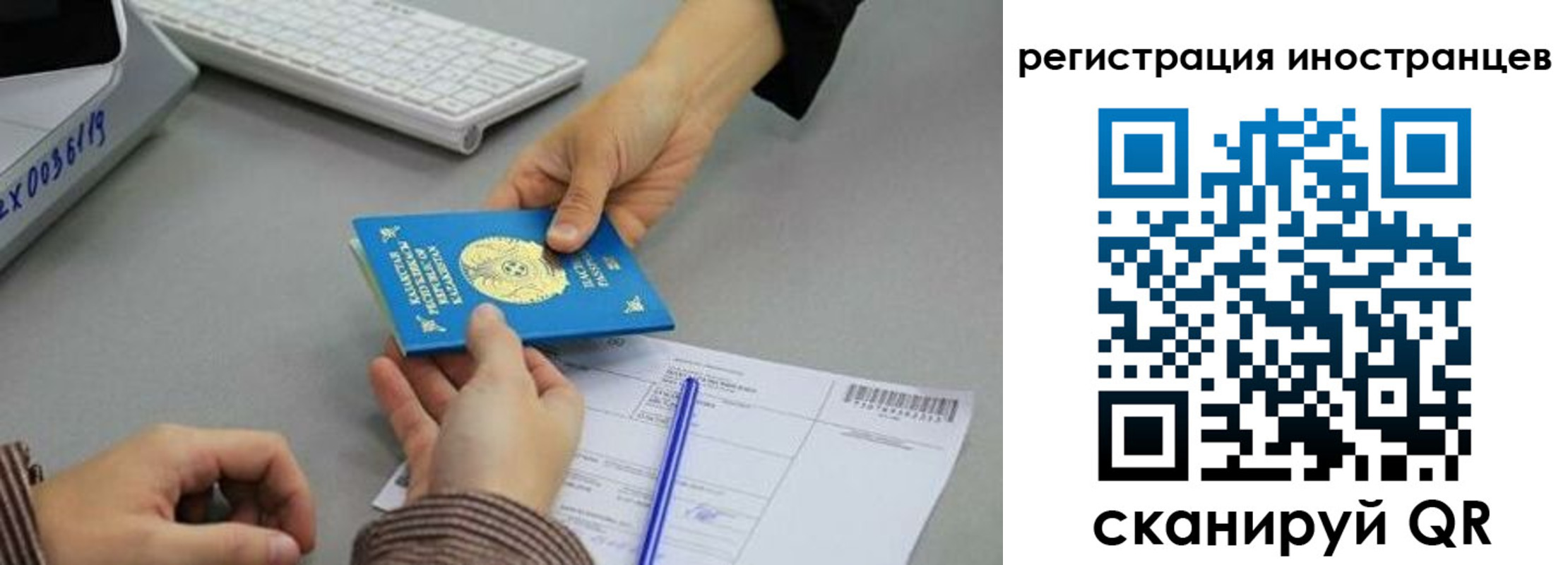 временная регистрация недорого в Невеле